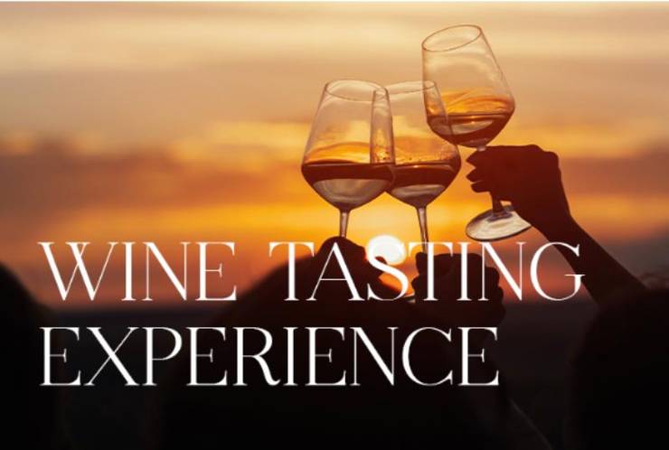 Wine tasting experience Hotel Barcelona Golf 4* Sup Sant Esteve Sesrovires